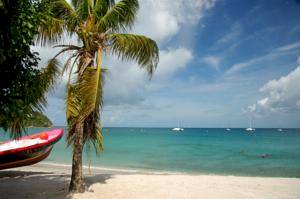 Martinique Hotels, Caribbean
